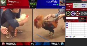 ราคาต่อรองไก่ชนออนไลน์