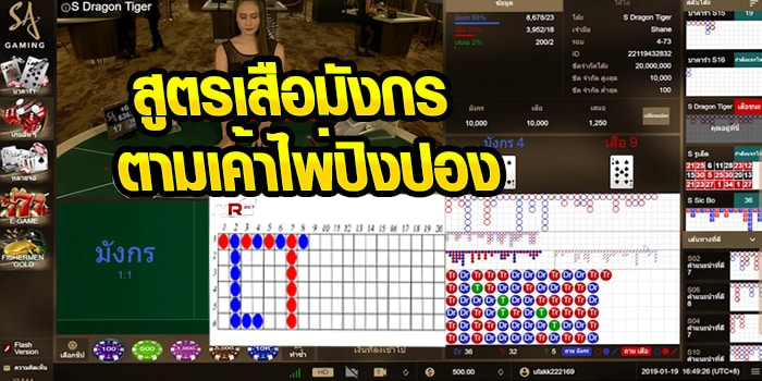 แนะนำ สูตรเสือมังกร เค้าไพ่ปิงปอง