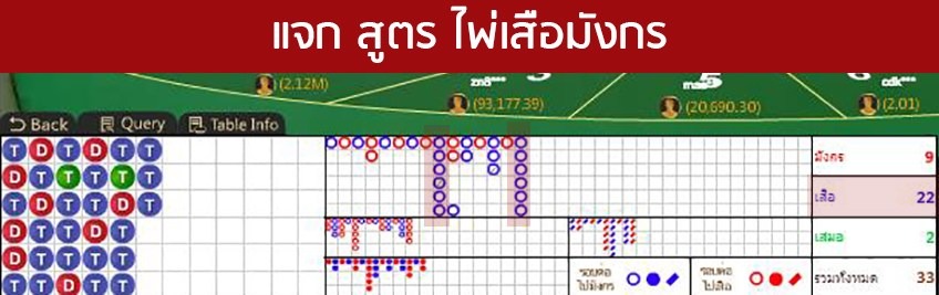 ฝึกการดูเค้าไพ่เสือมังกร พร้อมอธิบายลักษณะ